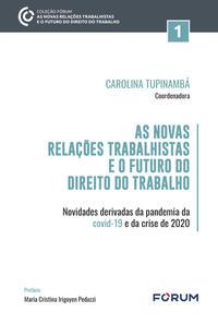 As Novas Relações Trabalhistas e o Futuro do Direito do Trabalho