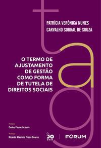 O Termo de Ajustamento de Gestão como forma de Tutela de Direitos Sociais