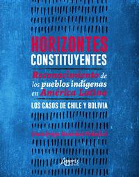 Horizontes constituyentes: reconocimiento de los pueblos indígenas en América Latina