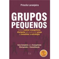 Grupos pequenos, como realizar evangelismo, discipular um a um e em grupo e consolidar estratégia