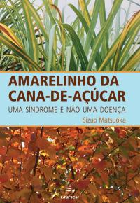 Amarelinho da cana-de-açúcar